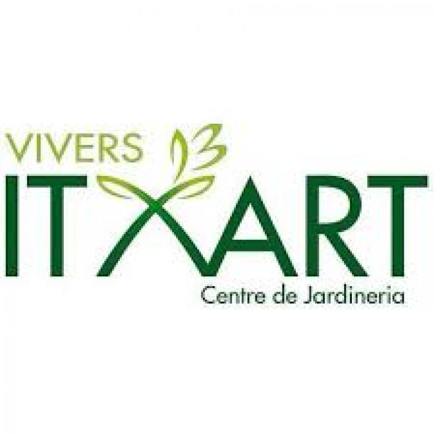 Vivers Itxart